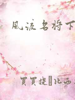 风流名将下载