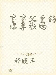 宝宝父皇的东西你喜欢吗