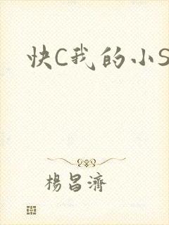 快C我的小SB