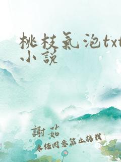 桃枝气泡txt小说