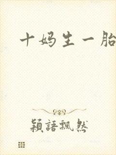 十妈生一胎