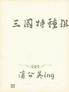 三国特种狙击手