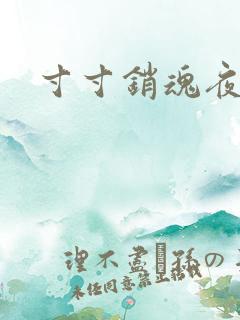 寸寸销魂夜春光