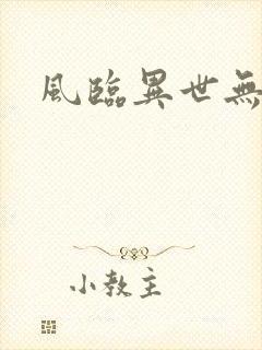 风临异世无弹窗