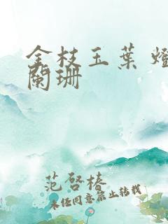 金枝玉叶 灯火阑珊