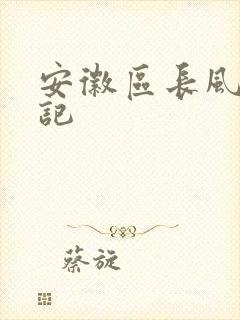 安徽区长风流日记