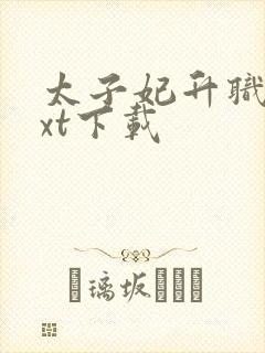 太子妃升职记txt下载