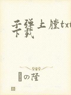 子弹上膛txt下载