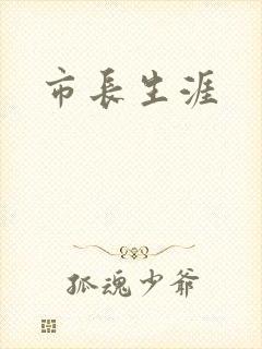 市长生涯