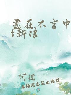 尽在不言中txt新浪