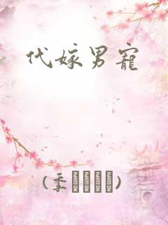 代嫁男宠