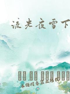 流光夜雪下载