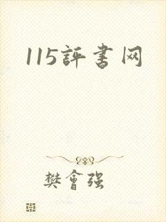 115评书网