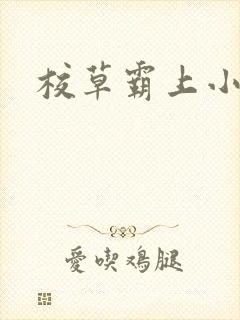 校草霸上小丫头