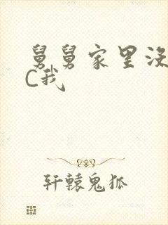 舅舅家里没人快C我