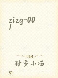 zizg-001