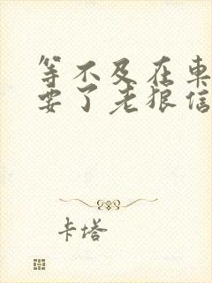 等不及在车里就要了老狼信息