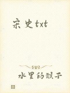 宋史txt