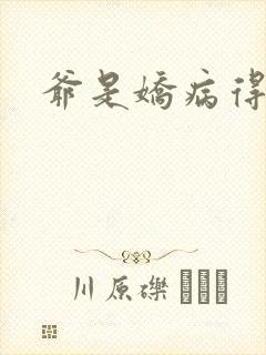 爷是娇病得宠着