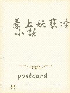 惹上妖孽冷殿下 小说