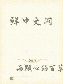 鲜中文网