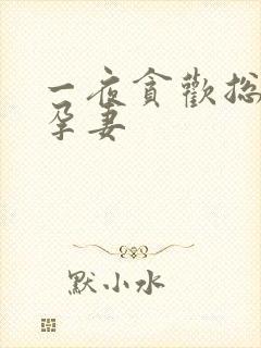 一夜贪欢总裁幸孕妻