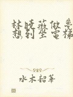 林晓薇做梦也没想到坐电梯到小区物业