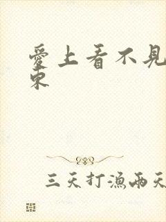 爱上看不见的房东