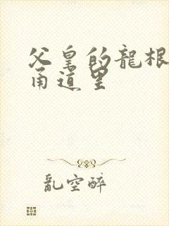 父皇的龙根在我甬道里