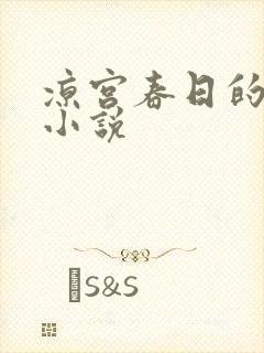 凉宫春日的忧郁小说
