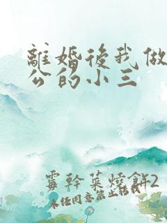 离婚后我做了老公的小三