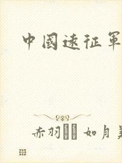 中国远征军小说