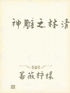 神雕之林清传