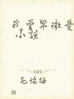 我曾卑微爱过你 小说