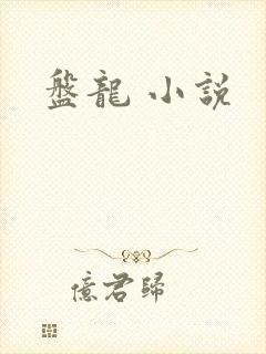 盘龙 小说