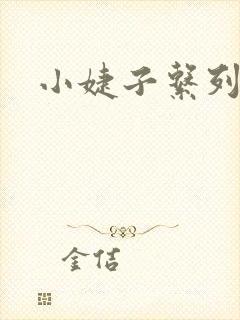 小婕子系列小说