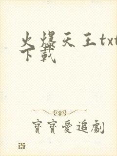 火爆天王txt下载