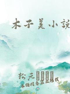 木子美小说
