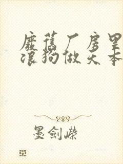 废旧厂房里和流浪狗做天本