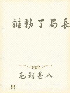 谁动了局长夫人