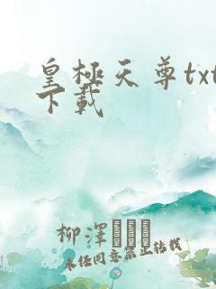 皇极天尊txt下载