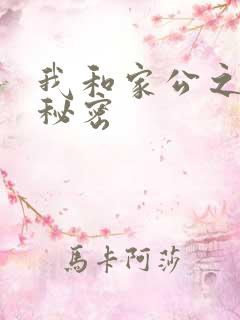 我和家公之间的秘密