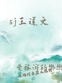 sj王道文