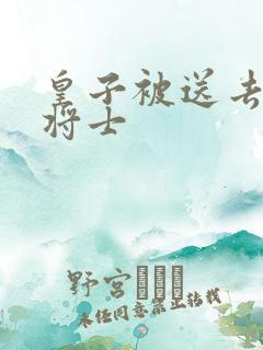 皇子被送去犒劳将士