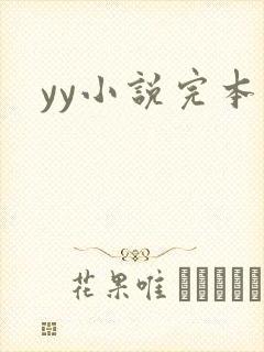 yy小说完本