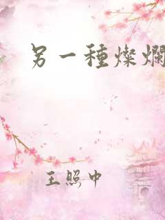 另一种灿烂生活