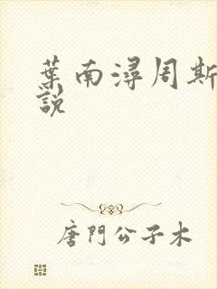 叶南浔周斯年小说