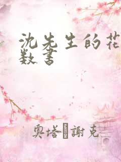 沈先生的花式调数书