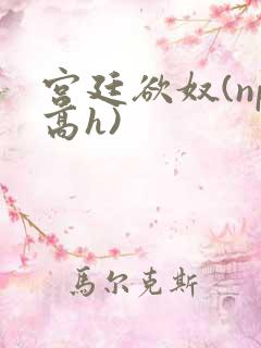 宫廷欲奴(np高h)