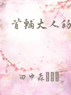 首辅大人的套路